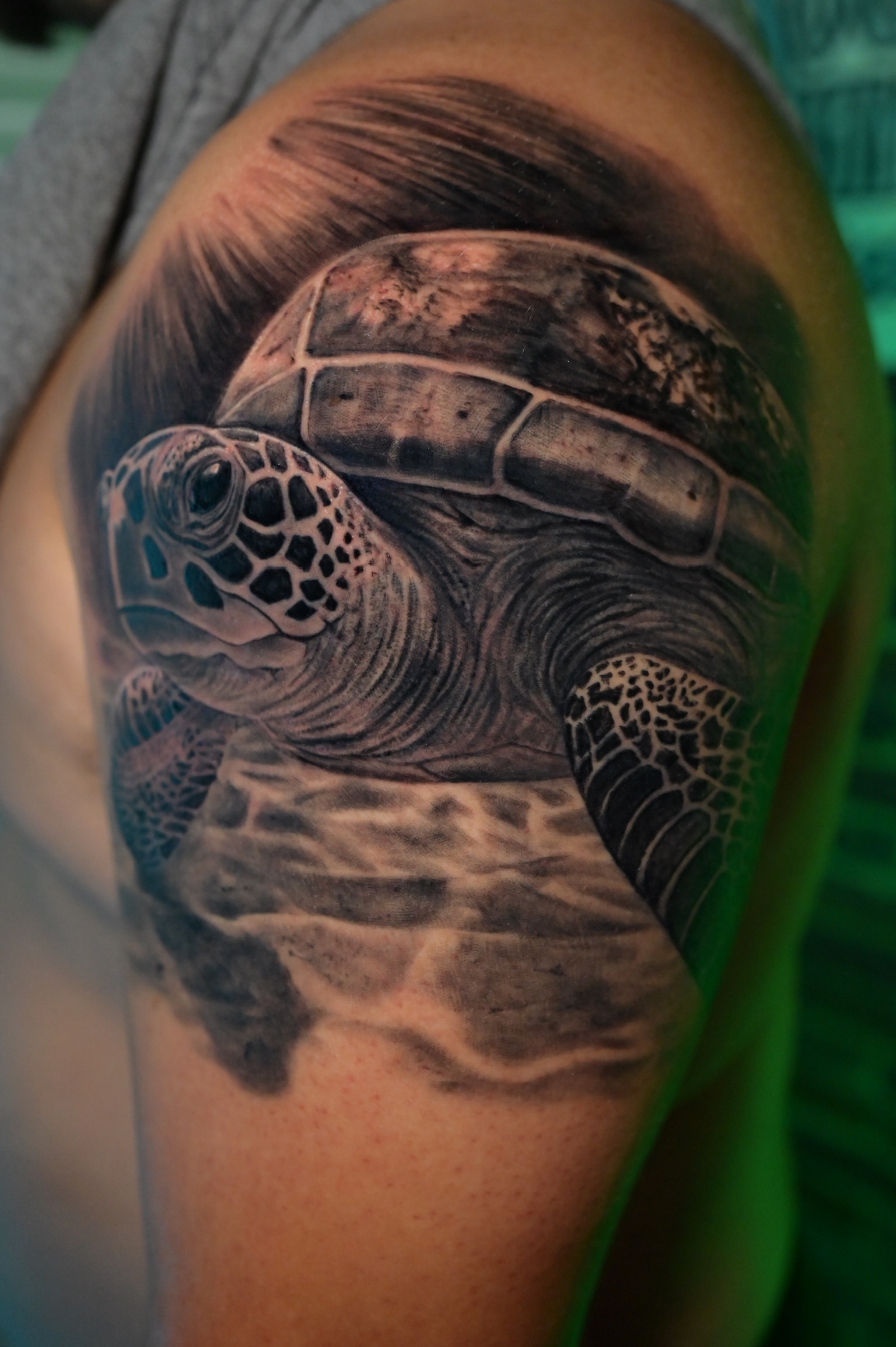 Sea turtle By Drew at Double Diamond Tattoos in West Chester, PA