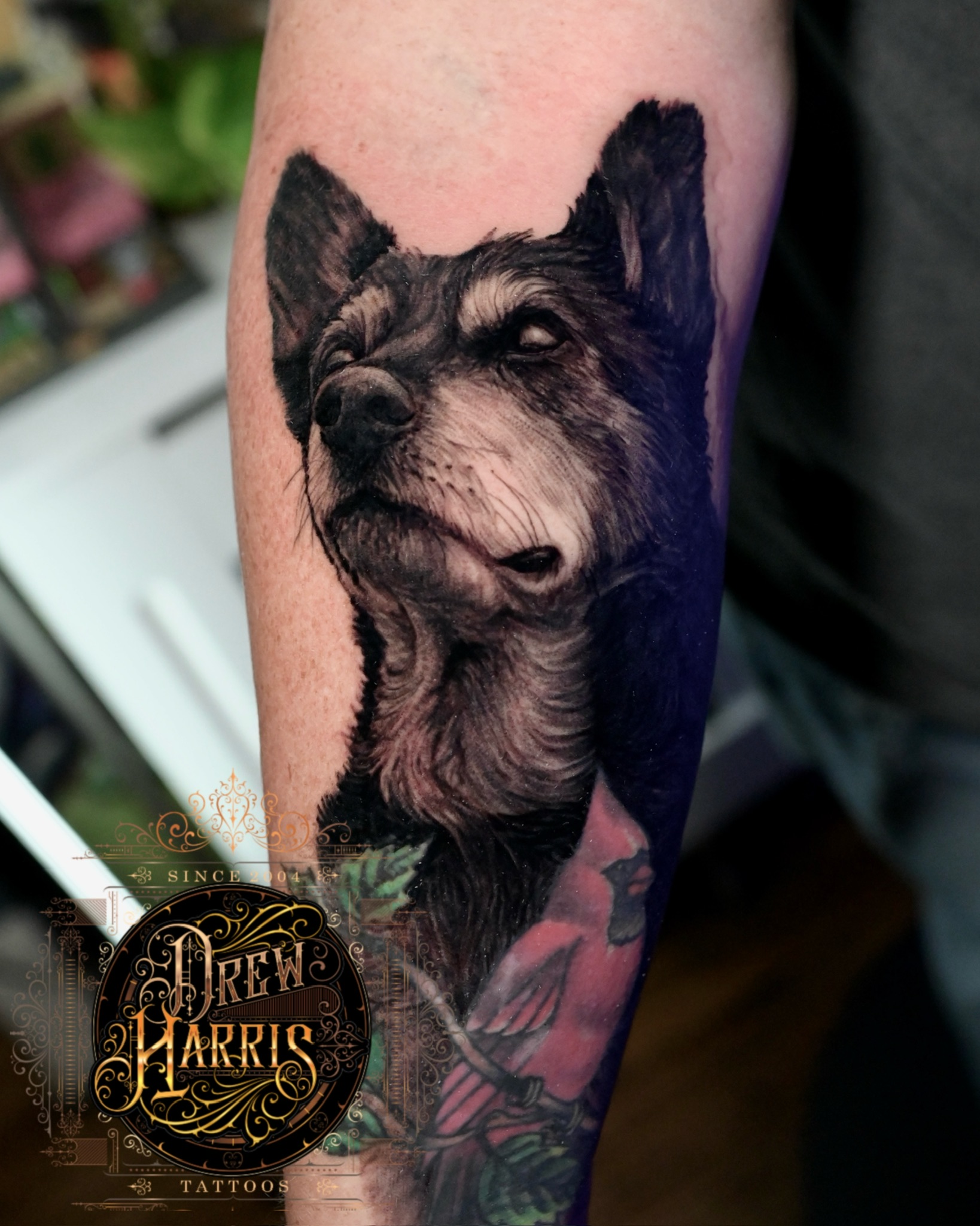 Pup portrait By Drew at Double Diamond Tattoos in West Chester, PA