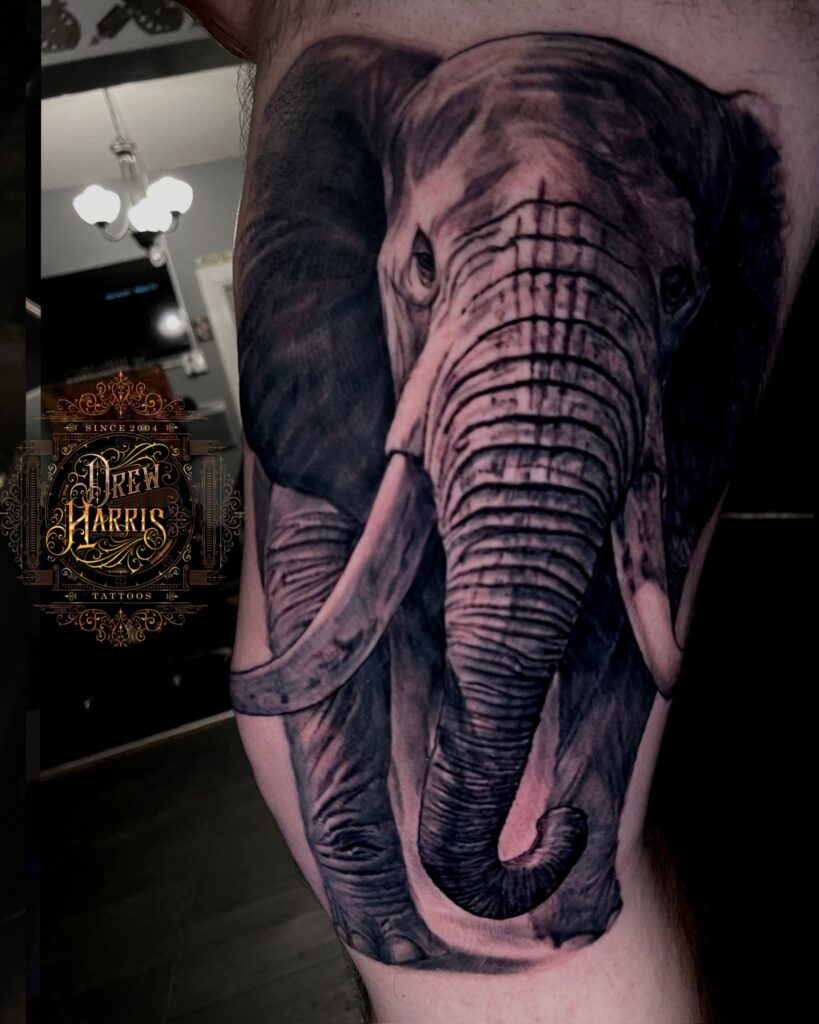 Elephant Tattoo by Drew Harris at Double Diamond Tattoos in West Chester