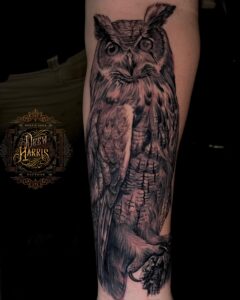 owl Tattoo by Drew Harris at Double Diamond Tattoos in West Chester