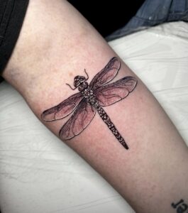 Dragonfly Tattoo by Rachel Rush at Double Diamond Tattoos in West Chester